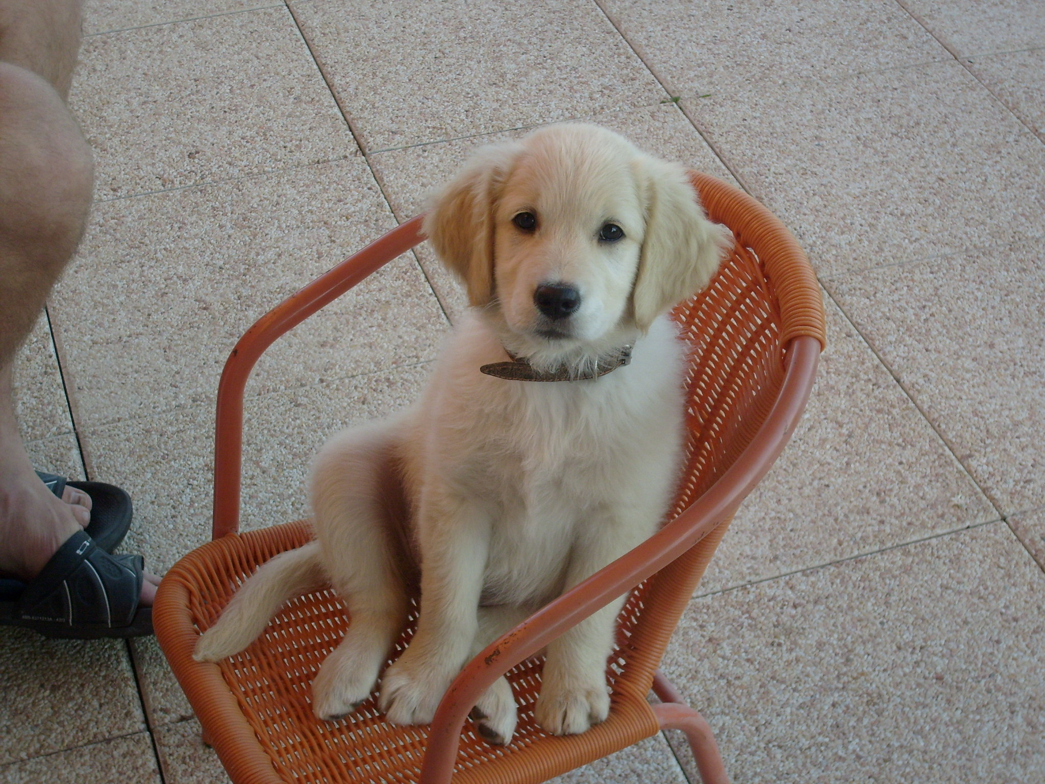 Kam já si nesednu :)